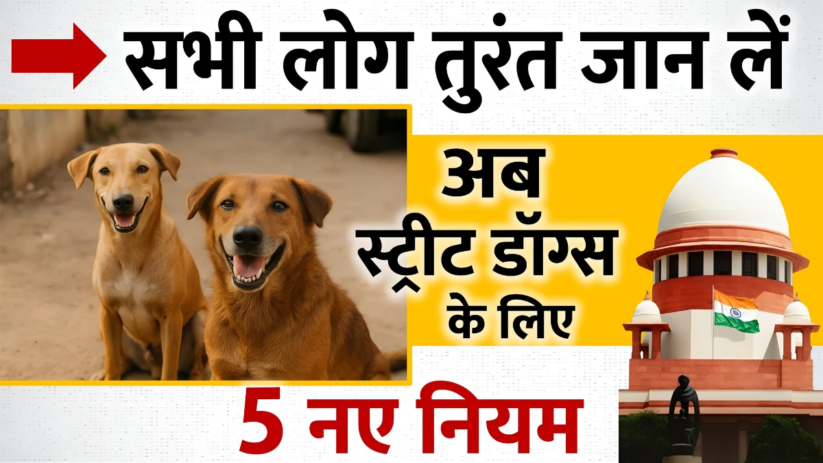 सुप्रीम कोर्ट में डॉग लवर्स की बड़ी जीत, अब आवारा कुत्तों के लिए 5 नए नियम, जल्दी से आम आदमी जान ले Supreme Court Dog News